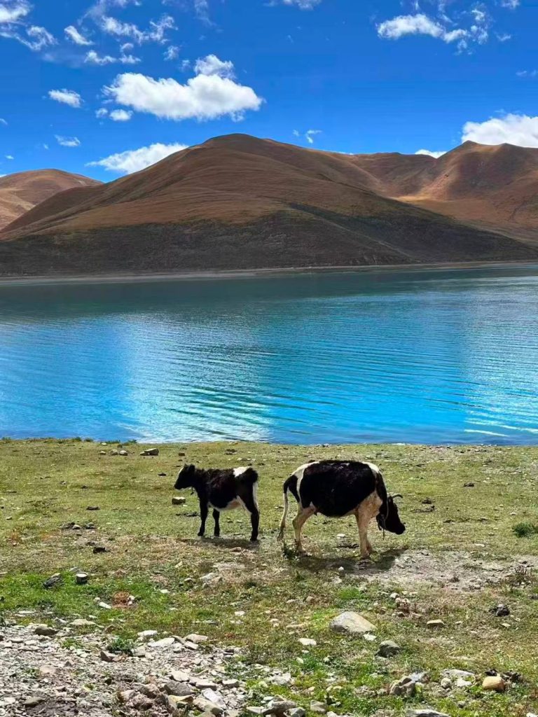 Australia Family during a Spring Tibet journey near Mount Everest, Potala Palace, Yamdrok Lake, Barkhor Street